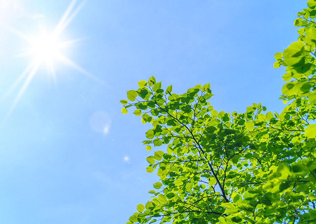 熱中症対策事業