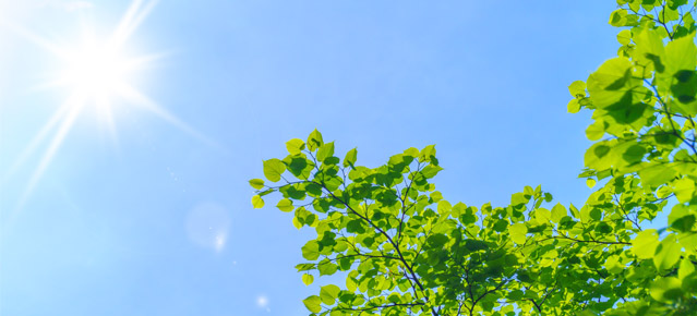 熱中症対策事業